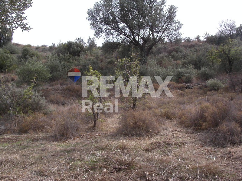 Οικόπεδο 32.000 τ.μ. πρός πώληση, Ν. Ηρακλείου, Μοίρες