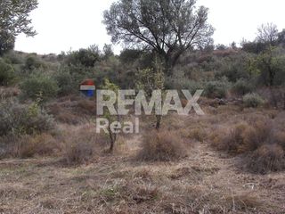 Οικόπεδο 32.000 τ.μ. πρός πώληση, Ν. Ηρακλείου, Μοίρες-thumb-1