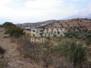 Οικόπεδο 23.658 τ.μ. για πώληση