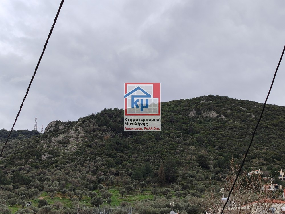 Μονοκατοικία 90 τ.μ. πρός πώληση, Ν. Λέσβου, Λέσβος - Μυτιλήνη