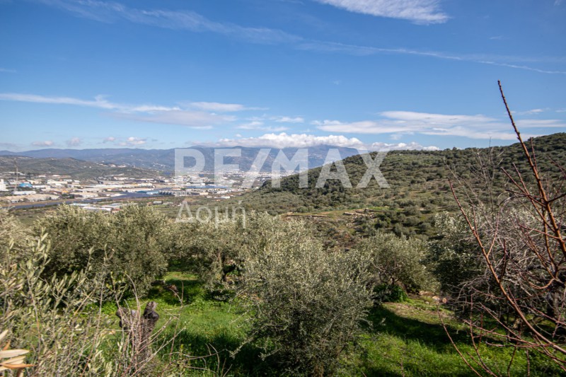 Αγροτεμάχια 7.438 τ.μ. προς πώληση, Διμήνι