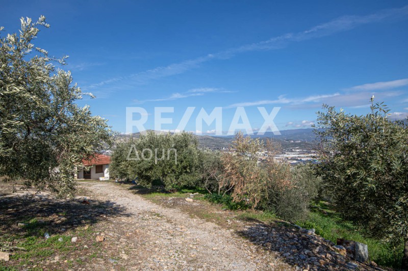 Αγροτεμάχια 7.438 τ.μ. προς πώληση, Διμήνι