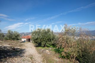 Αγροτεμάχια 7.438 τ.μ. πρός πώληση