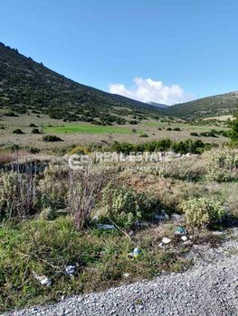 Αγροτεμάχια 63.000 τ.μ. πρός πώληση