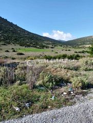 Αγροτεμάχια 63.000 τ.μ. για πώληση