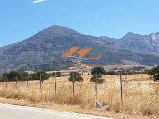 Αγροτεμάχια 6.200 τ.μ. για πώληση, Εβρος, Σαμοθράκη-thumb-7