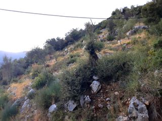 Οικόπεδο 769 τ.μ. για πώληση, Ν. Λευκάδας, Λευκάδα-thumb-10