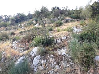 Οικόπεδο 769 τ.μ. για πώληση, Ν. Λευκάδας, Λευκάδα-thumb-2