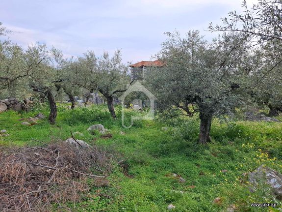 Οικόπεδο 625 τ.μ. για πώληση, Μεσσηνία, Λεύκτρος