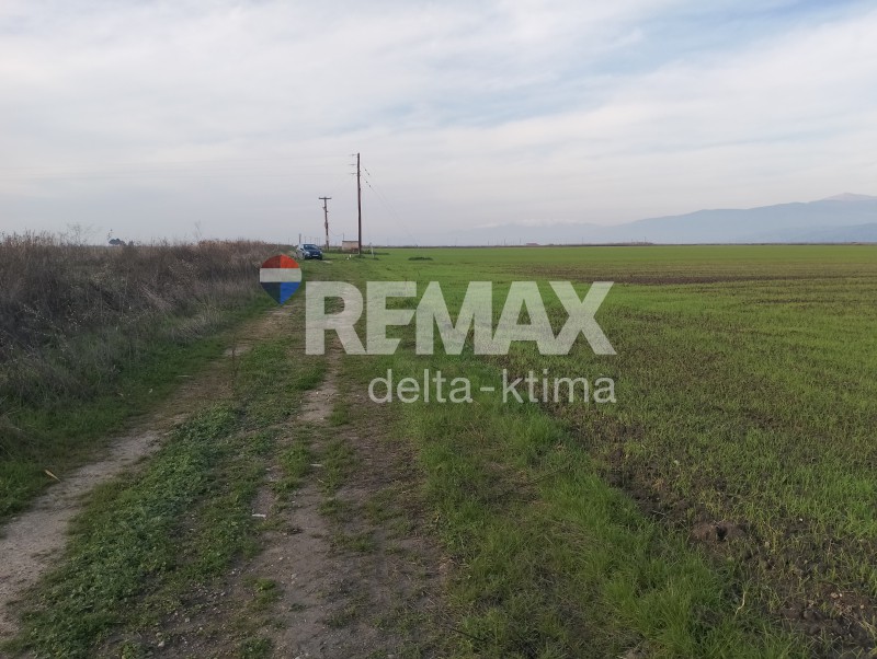 Αγροτεμάχια 24.167 τ.μ. προς πώληση, Σωτήριο