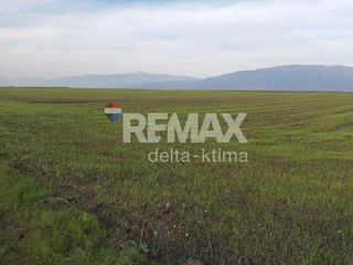 Αγροτεμάχια 24.167 τ.μ. για πώληση