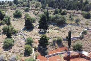 Οικόπεδο 4.830 τ.μ. για πώληση
