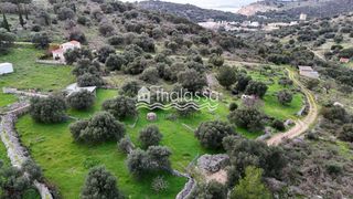 Οικόπεδο 2.142 τ.μ. για πώληση
