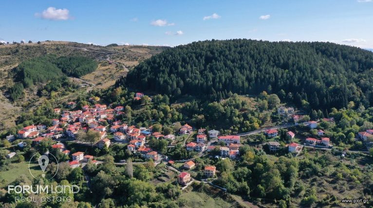 Hotel 830 sqm for sale, Grevena, Theodoros Ziakas