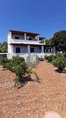 Οικόπεδο 13.000 τ.μ. για πώληση