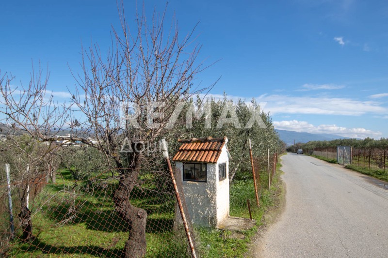 Αγροτεμάχια 8.123 τ.μ. προς πώληση, Διμήνι