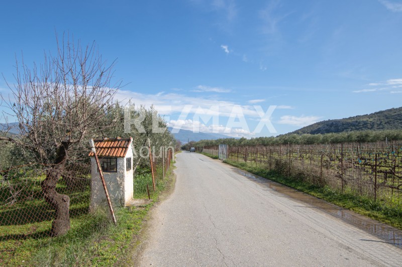 Αγροτεμάχια 8.123 τ.μ. προς πώληση, Διμήνι