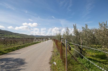 Parcel 8.123 sqm for sale