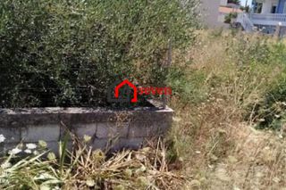 Αγροτεμάχια 362 τ.μ. προς πώληση
