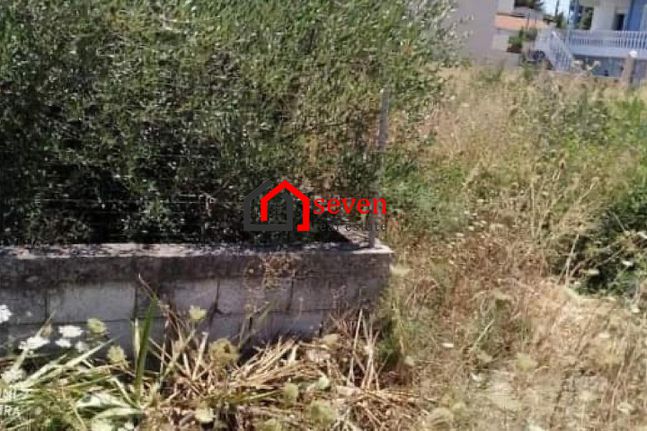 Parcel 362 sqm for sale, Athens - East, Artemida (loutsa)