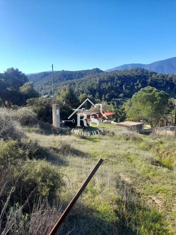Αγροτεμάχια 250 τ.μ. πρός πώληση, Αττική - Υπόλοιπο, Βίλια