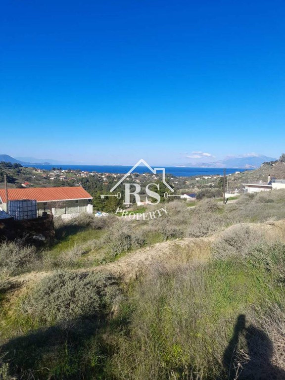 Αγροτεμάχια 250 τ.μ. πρός πώληση, Αττική - Υπόλοιπο, Βίλια