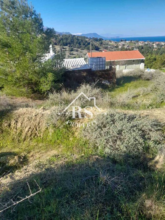 Αγροτεμάχια 250 τ.μ. πρός πώληση, Αττική - Υπόλοιπο, Βίλια