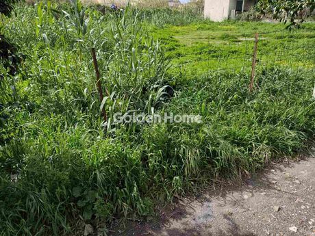 Parcel 548 sqm for rent