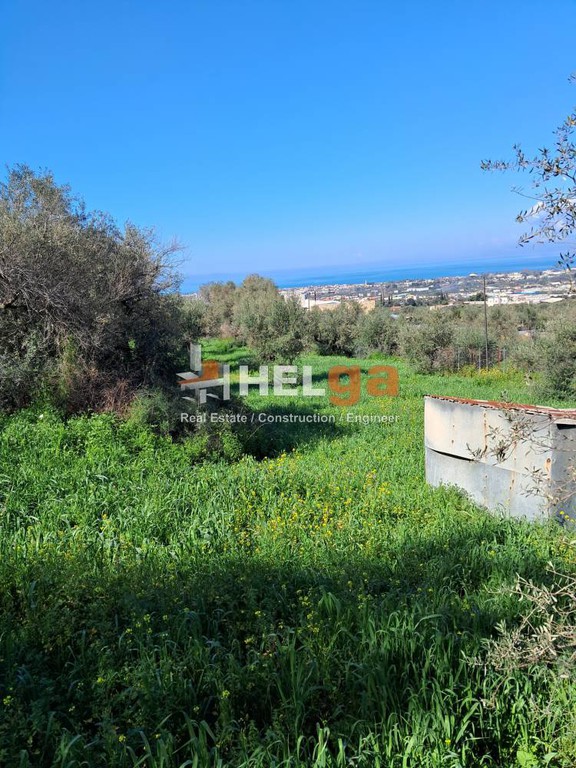 Οικόπεδο 4.337 τ.μ. προς πώληση, Κρήνη Μεσσάτιδας