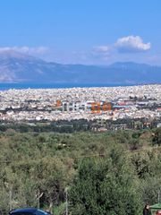 Οικόπεδο 4.337 τ.μ. προς πώληση, Κρήνη Μεσσάτιδας-thumb-16