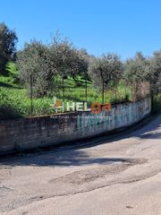 Οικόπεδο 4.337 τ.μ. προς πώληση, Κρήνη Μεσσάτιδας-thumb-25