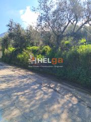 Οικόπεδο 4.337 τ.μ. προς πώληση, Κρήνη Μεσσάτιδας-thumb-2