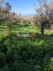 Οικόπεδο 4.337 τ.μ. προς πώληση, Κρήνη Μεσσάτιδας-thumb-19