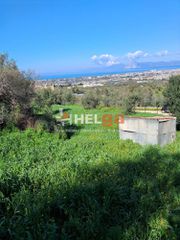 Οικόπεδο 4.337 τ.μ. προς πώληση, Κρήνη Μεσσάτιδας-thumb-7