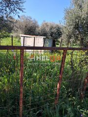 Οικόπεδο 4.337 τ.μ. προς πώληση, Κρήνη Μεσσάτιδας-thumb-23