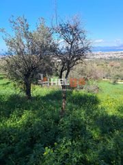 Οικόπεδο 4.337 τ.μ. προς πώληση, Κρήνη Μεσσάτιδας-thumb-20