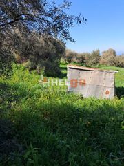 Οικόπεδο 4.337 τ.μ. προς πώληση, Κρήνη Μεσσάτιδας-thumb-22