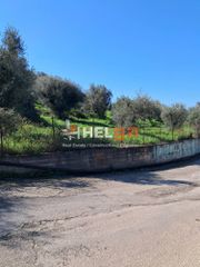 Οικόπεδο 4.337 τ.μ. προς πώληση, Κρήνη Μεσσάτιδας-thumb-29