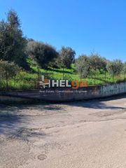 Οικόπεδο 4.337 τ.μ. προς πώληση, Κρήνη Μεσσάτιδας-thumb-27