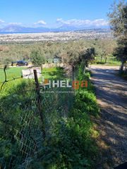 Οικόπεδο 4.337 τ.μ. προς πώληση, Κρήνη Μεσσάτιδας-thumb-13