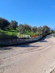 Οικόπεδο 4.337 τ.μ. προς πώληση, Κρήνη Μεσσάτιδας-thumb-28