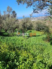 Οικόπεδο 4.337 τ.μ. προς πώληση, Κρήνη Μεσσάτιδας-thumb-17