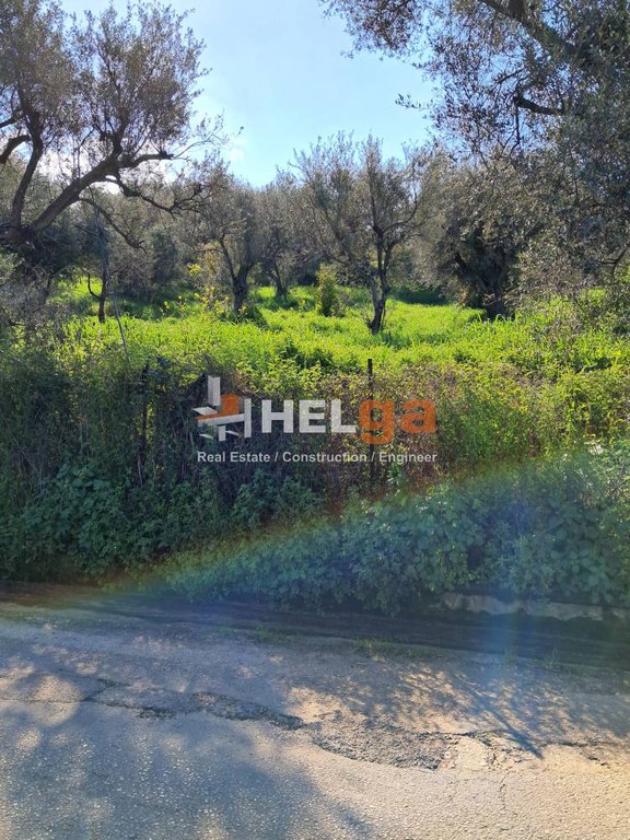 Οικόπεδο 4.337 τ.μ. προς πώληση, Κρήνη Μεσσάτιδας