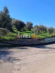Οικόπεδο 4.337 τ.μ. προς πώληση, Κρήνη Μεσσάτιδας-thumb-24