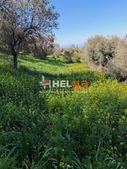 Οικόπεδο 4.337 τ.μ. προς πώληση, Κρήνη Μεσσάτιδας-thumb-21
