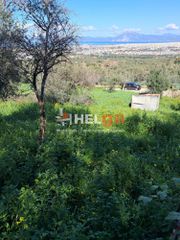 Οικόπεδο 4.337 τ.μ. προς πώληση, Κρήνη Μεσσάτιδας-thumb-15