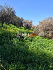 Οικόπεδο 4.337 τ.μ. προς πώληση, Κρήνη Μεσσάτιδας-thumb-6