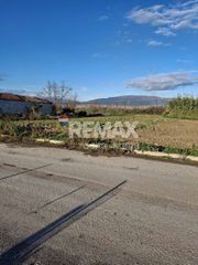 Οικόπεδο 1.500 τ.μ. για πώληση, Ν. Λάρισας, Αρμένιο-thumb-1