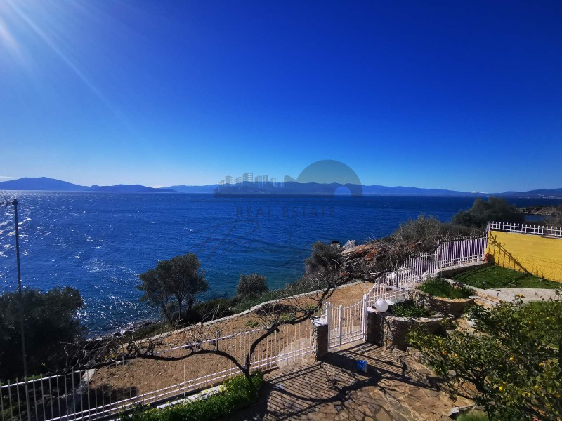 Studio / γκαρσονιέρα 55 τ.μ. προς ενοικίαση, Μάραθος Νέας Αγχιάλου