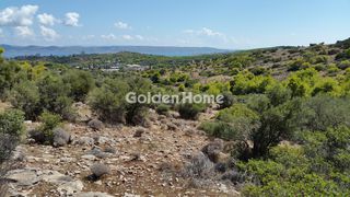 Αγροτεμάχια 71.131 τ.μ. πρός πώληση